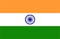 Индийский государственный флаг